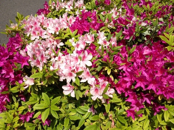 20130505-235230.jpg