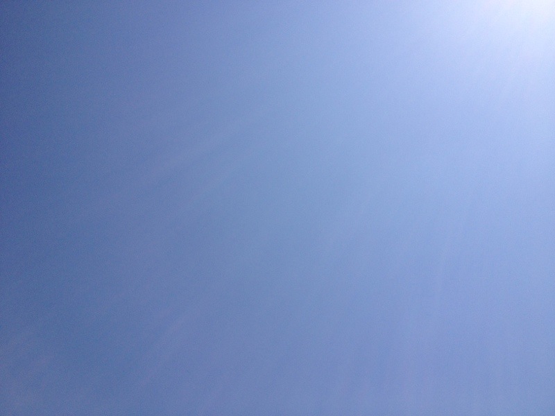 20130506-000238.jpg