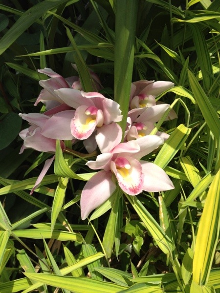 20130520-104943.jpg