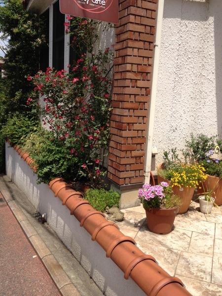 20130520-105202.jpg
