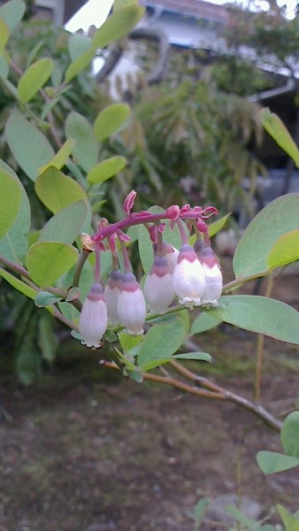 20130520-105457.jpg
