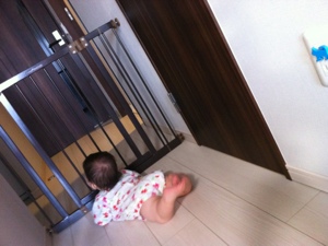 20130710-224716.jpg