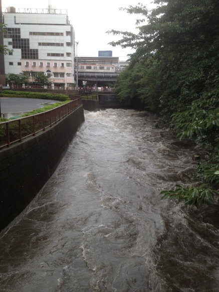 20130730-233410.jpg