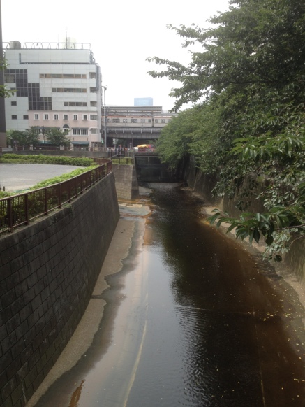 20130730-233442.jpg
