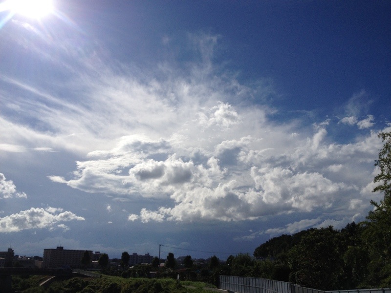 20130902-213632.jpg
