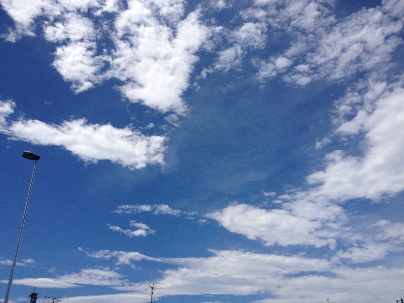 20130908-222435.jpg