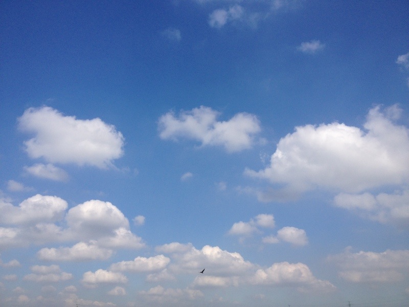 20131013-221344.jpg