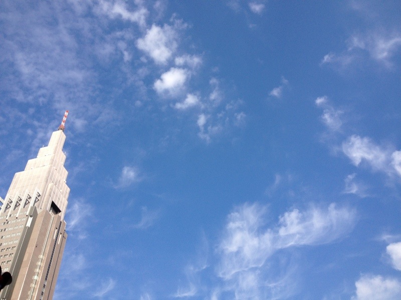 20131104-174632.jpg