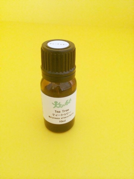 11042941_302324099891952_7675600724297376400_n