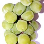 190px-shine_muscat_grape