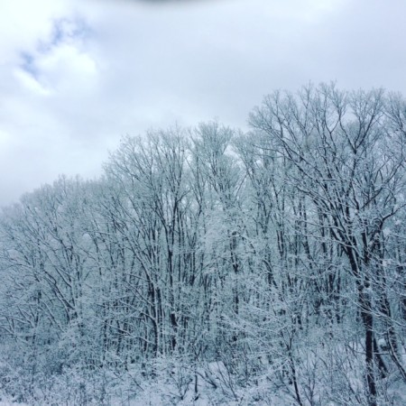 B6532C30-A620-4F36-B17A-3E03D91C8EA7