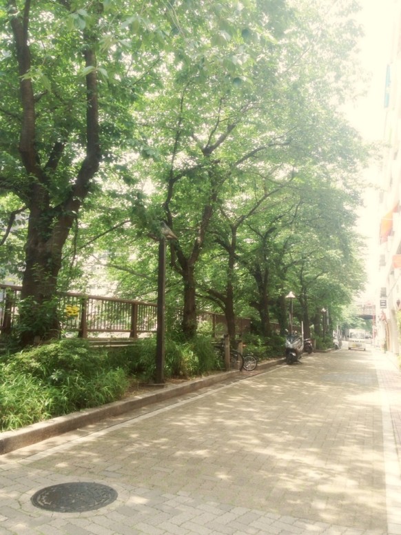 kawa
