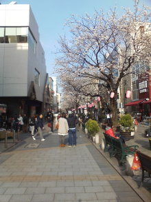 東急沿線でピラティス-jiyuugaoka