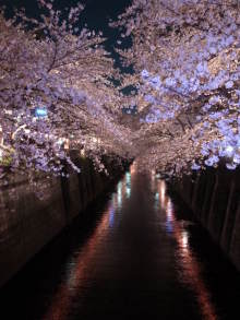 東急沿線でピラティス