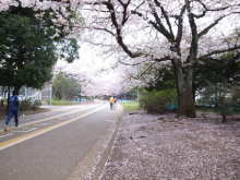 東急沿線でピラティス