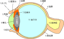 中目黒ピラティス＆マスターストレッチスタジオ arancia （アランチャ）