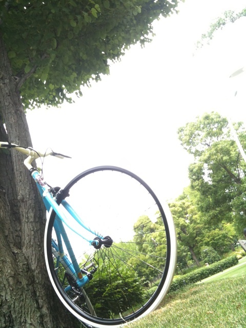photo:01