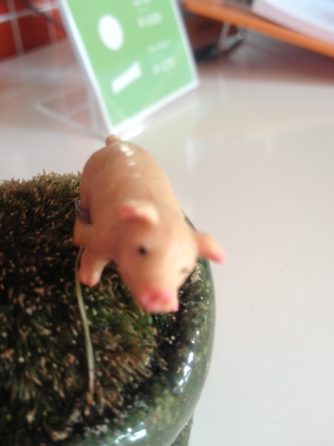 photo:01