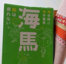 中目黒ピラティス＆マスターストレッチスタジオ arancia （アランチャ）